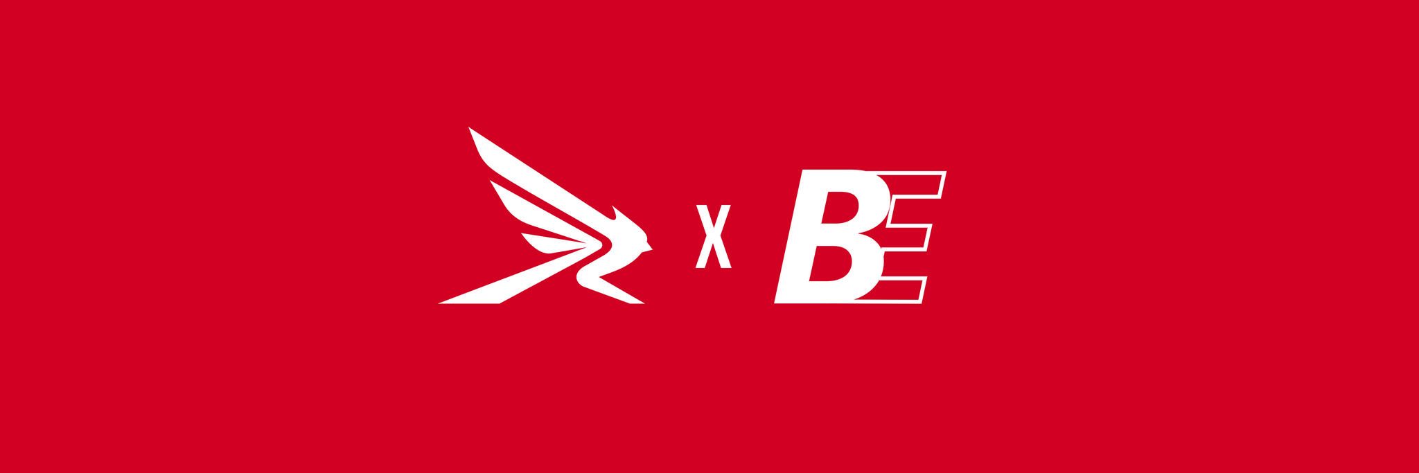 Raleigh Radiance X BE Ultimate