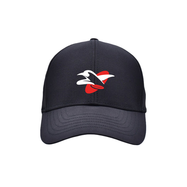 AeroLite Lo-Pro 5-Panel Hat | School Without Walls Flightless Bird Spring 2025