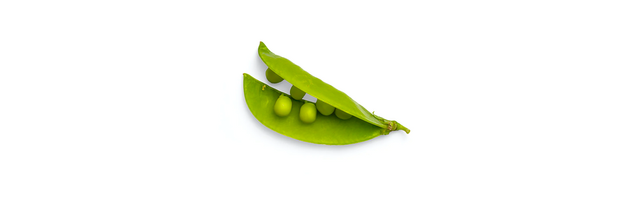 FUEL: The Basics of Healthy Eating