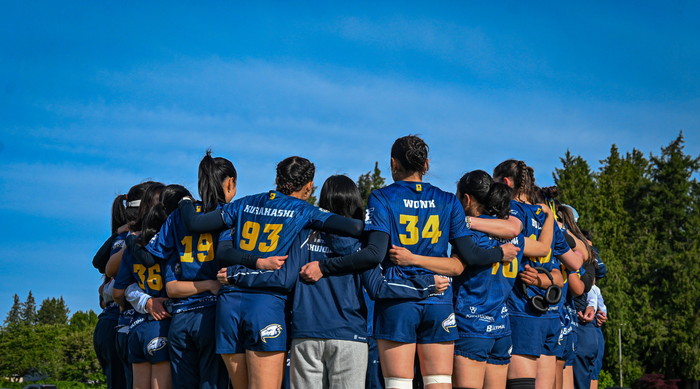 article.title | strip_html | escape