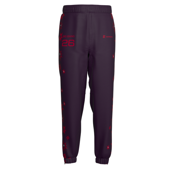 Full Sub GridTech Pants | University of Washington Big Bang Fall 2026