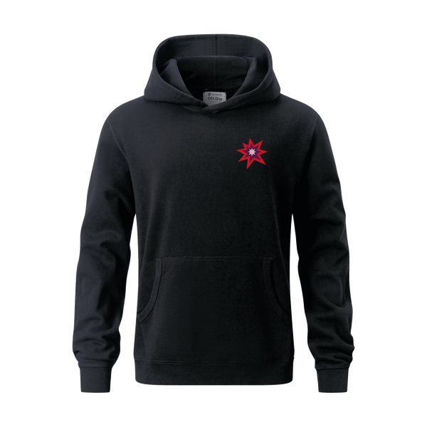 Off-Day Heavyweight Hoodie | University of Washington Big Bang Fall 2026