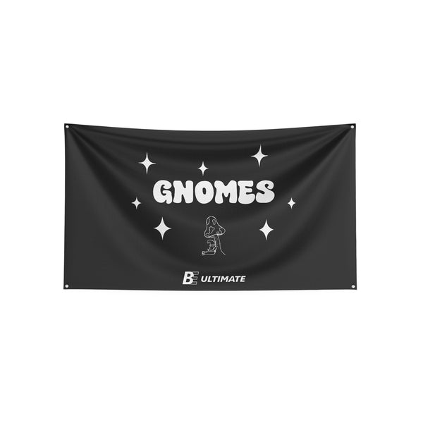 Full Sub Flag | San Diego State University Gnomes Fall 2024