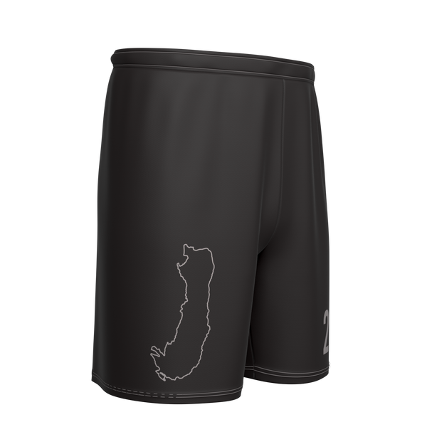 Basic Sub N-Weave Pro Shorts | St. Paul Pushovers Spring 2026