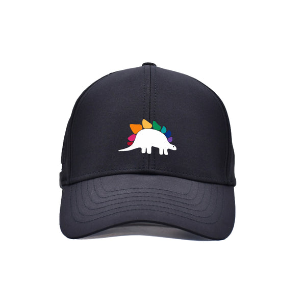 FlyLite Lo-Pro Hat | University of Vermont Ruckus Fan Store January 2025