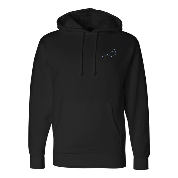 Premium Heavyweight Hoodie | Pleiades Fan Store Spring 2025